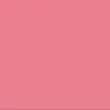 pinkpancazackes
